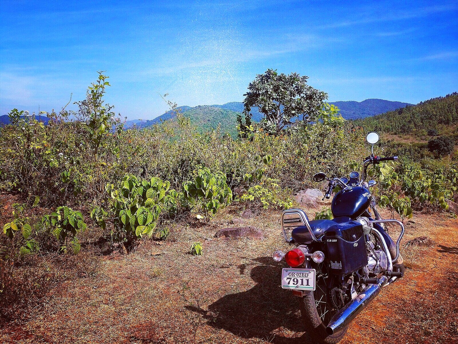 Daringbadi hill station