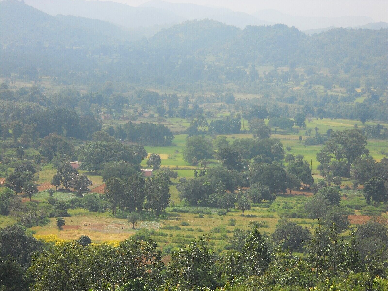 Silence Valley, Daringbadi